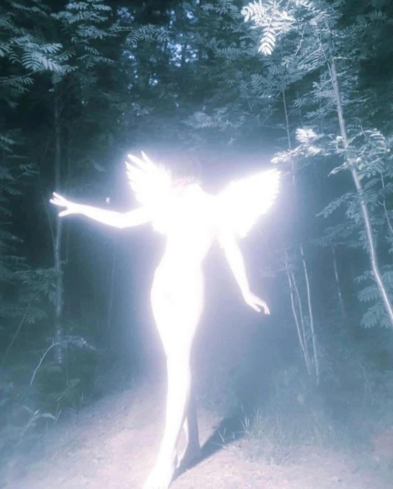 MINI Angel guidance reading